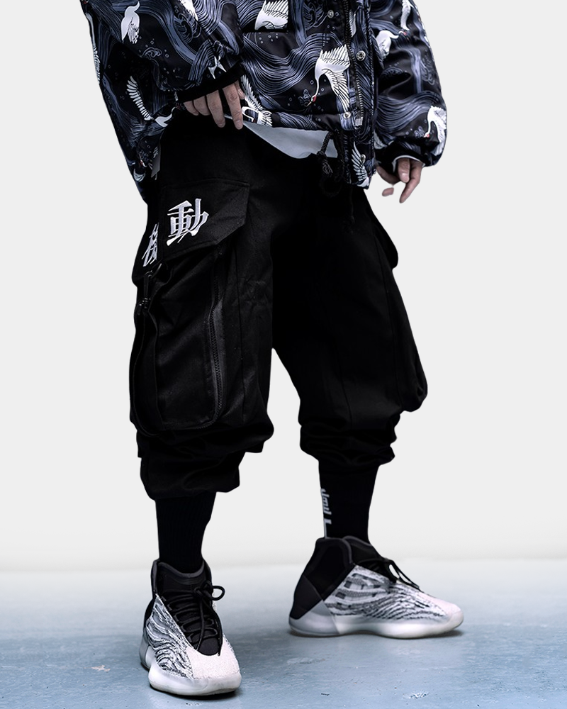 Japanese Techwear Pants